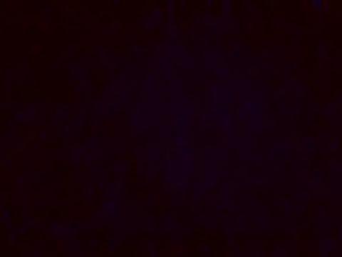 jellydicks online show from 12.17.24