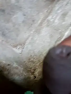 jellydicks online show from 12.29.24