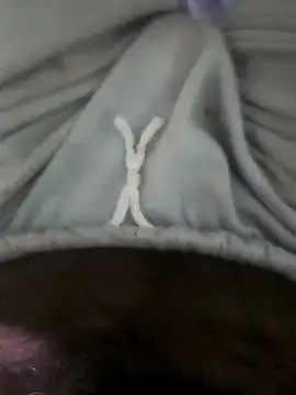 jellydicks online show from 02.19.25