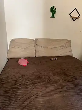 Snapshot of pepsicolacouple chatting on 11.13.25 pepsicolacouple online show from 11.13.25