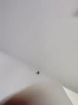 Tamilrojanew online show from 01.11.26