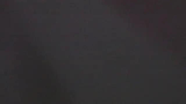 Zoeth Ruiz online show from 01.04.25