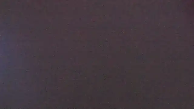Zoeth Ruiz online show from 01.25.25