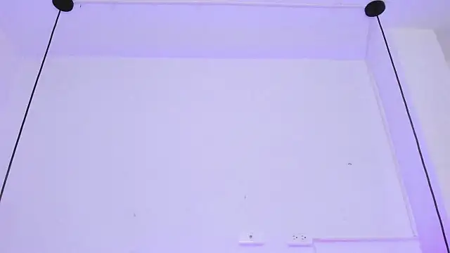 Zoeth Ruiz online show from 01.29.25