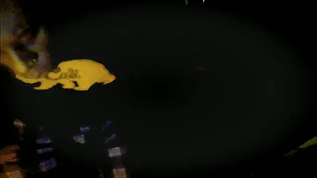 Pressure69mee online show from 03.12.25