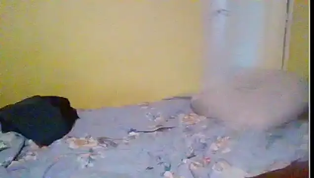 Regularfucker28 online show from 04.23.26