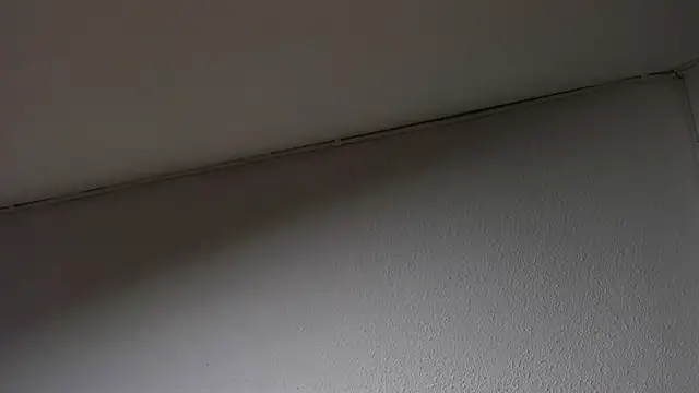 Dimitri higth420 online show from 03.15.25