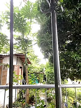 Snapshot of Jestebanano chatting on 10.18.25 Jestebanano online show from 10.18.25