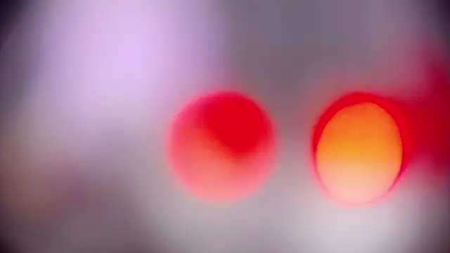 JiaLiss online show from 02.24.25