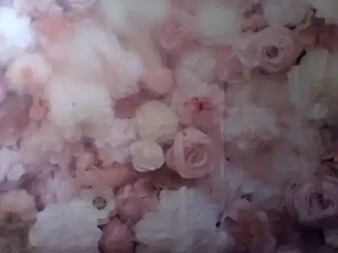 camiliaskye online show from 12.31.24