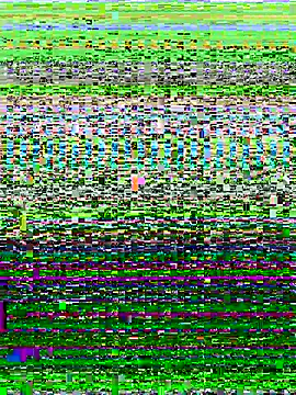 ahross online show from 10.13.25