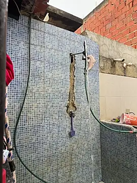 Leo bunny hot online show from 11.30.25