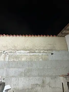 Leo bunny hot online show from 01.10.26