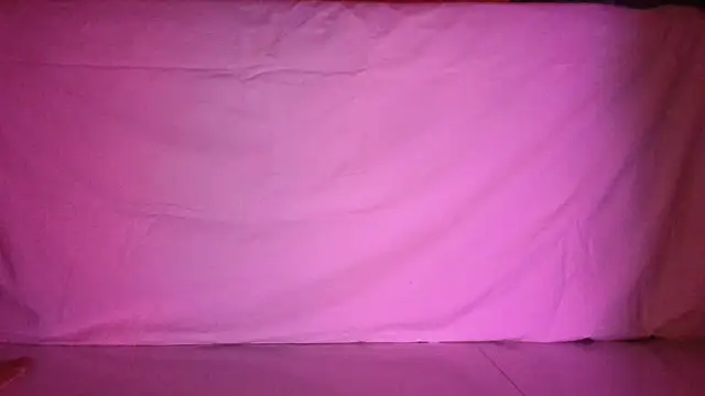 Snapshot of Reneta_Rebekka_Lopez chatting on 04.16.26 Reneta Rebekka Lopez online show from 04.16.26