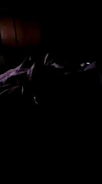 Imthegoattt online show from 12.12.24