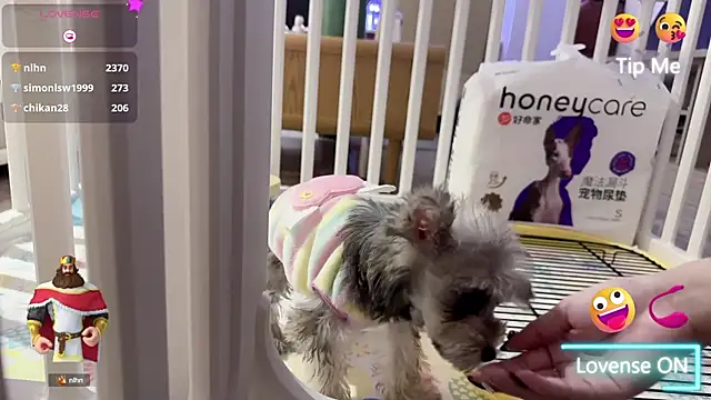 Snapshot of Bunny_Tutu chatting on 01.18.25 Bunny Tutu online show from 01.18.25