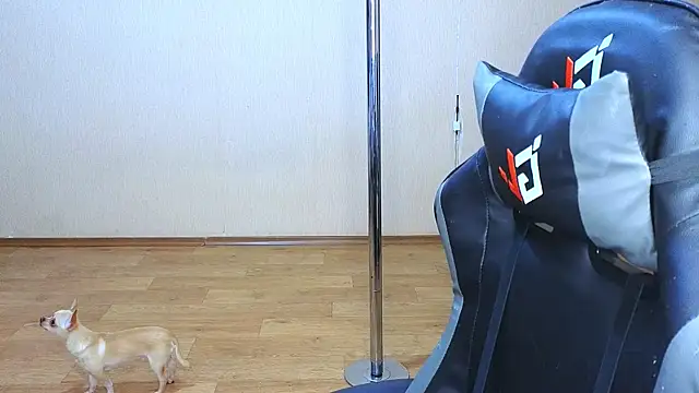 doll barbieee online show from 03.09.25