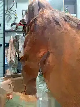 Snapshot of Aimeil chatting on 11.18.25 Aimeil online show from 11.18.25