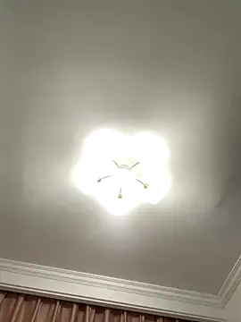 Snapshot of Aimeil chatting on 11.27.25 Aimeil online show from 11.27.25