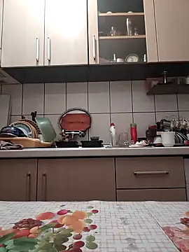 Snapshot of vulpe8400 chatting on 11.27.25 vulpe8400 online show from 11.27.25