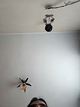 vulpe8400 online show from 04.19.26