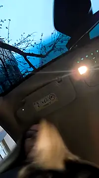 SukyGirl online show from 02.03.25