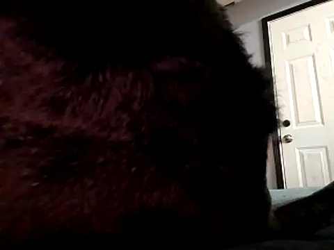 DevinToore online show from 10.29.25