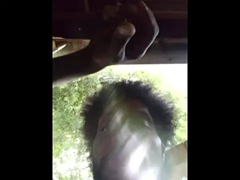 DevinToore online show from 04.05.26