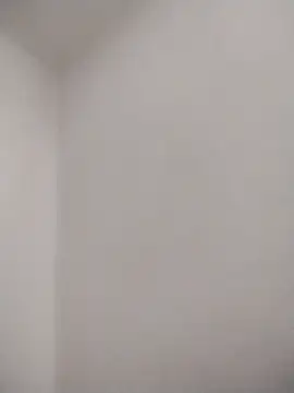 afeshakhak online show from 02.08.26