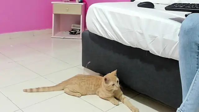 Snapshot of _candy_jade_ chatting on 01.15.26 candy jade online show from 01.15.26