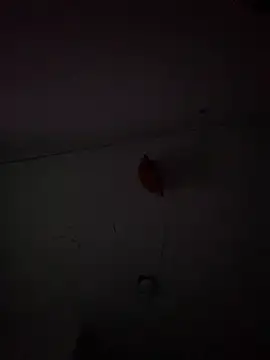 Snapshot of Carolinen chatting on 02.03.25 Carolinen online show from 02.03.25