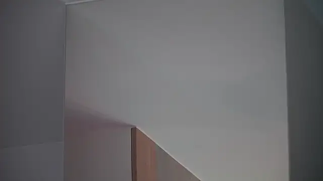 DreamSofia online show from 03.15.25