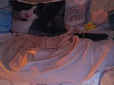 Snapshot of VeneRed chatting on 11.30.25 VeneRed online show from 11.30.25