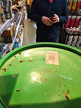 nataliecdlive online show from 03.03.26