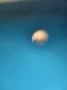 Sonya5156 online show from 02.15.25