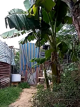 tayson  online show from 03.14.25