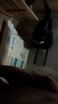 cockringkelley97 online show from 12.01.24