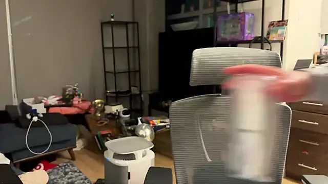 Snapshot of bearcloudcomputa chatting on 12.28.24 bearcloudcomputa online show from 12.28.24