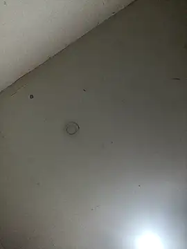 jeremiabello online show from 02.28.25