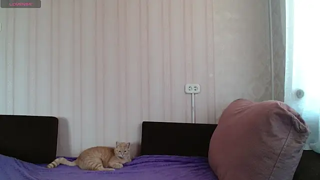 KellyCrystall online show from 03.12.25