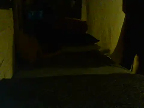 Snapshot of Gman143187 chatting on 02.02.25 Gman143187 online show from 02.02.25