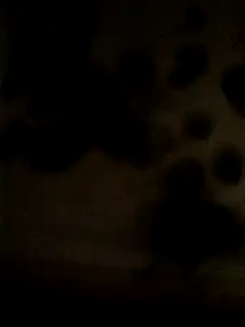 Snapshot of Leocesar37 chatting on 05.25.26 Leocesar37 online show from 05.25.26