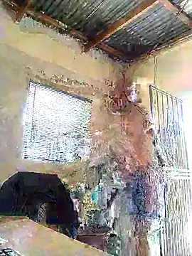 Snapshot of surger chatting on 12.20.25 surger online show from 12.20.25