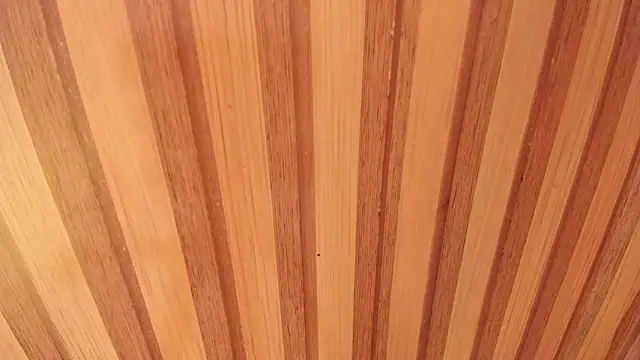 Taylor  cooper online show from 02.12.26