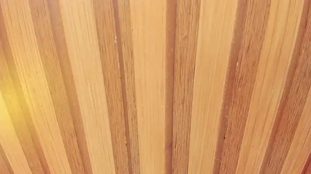 Taylor  cooper online show from 02.18.26