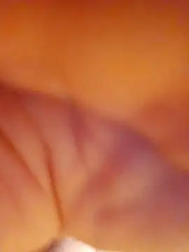 alienbunny online show from 11.17.25