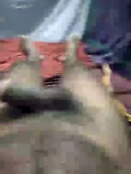 mallucallboy2104 online show from 01.03.25