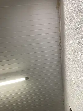 luara1988 online show from 10.23.25