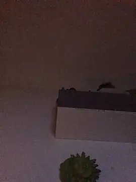 babylonia4sex online show from 01.31.25