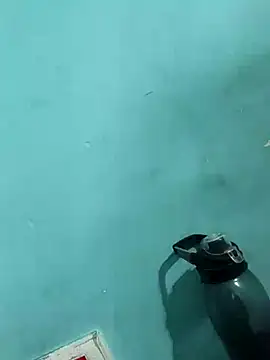 Snapshot of Rani_devi88 chatting on 02.24.25 Rani devi88 online show from 02.24.25